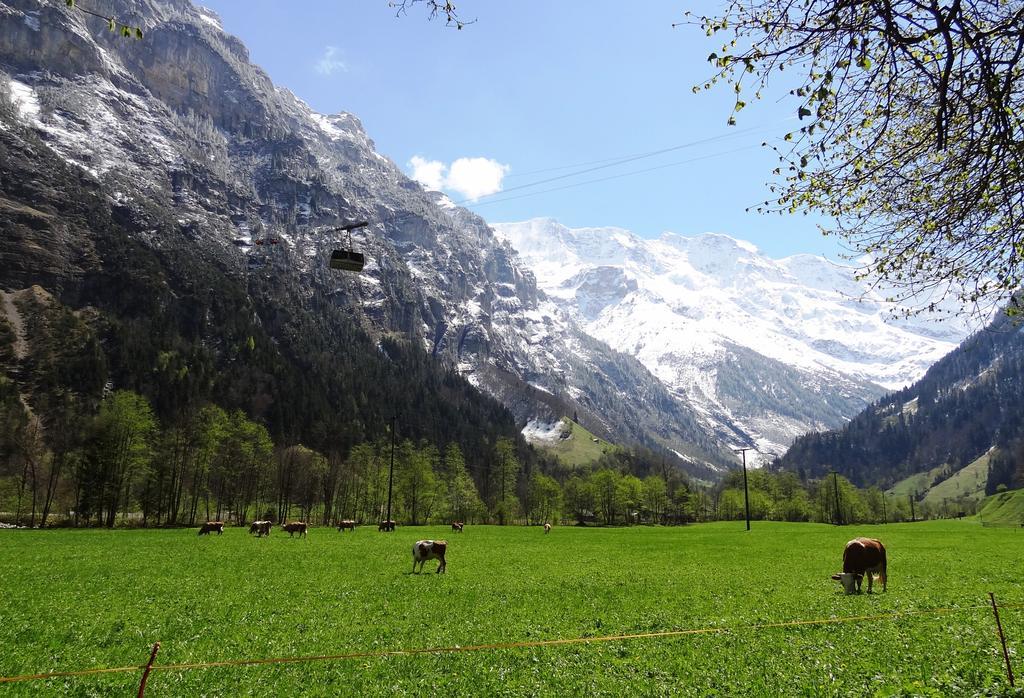 Base Cafe Leilighet Lauterbrunnen Eksteriør bilde